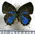  ( - JFDA5374)  @11 [ ] copyright (2025) Center For Collection-Based Research Center For Collection-Based Research