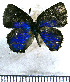  ( - JFDA5375)  @11 [ ] copyright (2025) Center For Collection-Based Research Center For Collection-Based Research