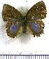  ( - JFDA5376)  @11 [ ] copyright (2025) Center For Collection-Based Research Center For Collection-Based Research