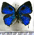  ( - JFDA5377)  @11 [ ] copyright (2025) Center For Collection-Based Research Center For Collection-Based Research