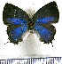  ( - JFDA5378)  @11 [ ] copyright (2025) Center For Collection-Based Research Center For Collection-Based Research