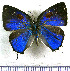  ( - JFDA5400)  @11 [ ] copyright (2025) Center For Collection-Based Research Center For Collection-Based Research