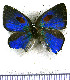  ( - JFDA5401)  @11 [ ] copyright (2025) Center For Collection-Based Research Center For Collection-Based Research