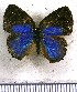  ( - JFDA5402)  @11 [ ] copyright (2025) Center For Collection-Based Research Center For Collection-Based Research