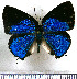  ( - JFDA5405)  @11 [ ] copyright (2025) Center For Collection-Based Research Center For Collection-Based Research