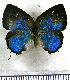  ( - JFDA5406)  @11 [ ] copyright (2025) Center For Collection-Based Research Center For Collection-Based Research