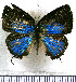  ( - JFDA5407)  @11 [ ] copyright (2025) Center For Collection-Based Research Center For Collection-Based Research