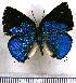  ( - JFDA5413)  @11 [ ] copyright (2025) Center For Collection-Based Research Center For Collection-Based Research