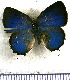  ( - JFDA5414)  @11 [ ] copyright (2025) Center For Collection-Based Research Center For Collection-Based Research
