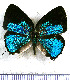  ( - JFDA5448)  @11 [ ] copyright (2025) Center For Collection-Based Research Center For Collection-Based Research