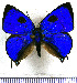  ( - JFDA5463)  @11 [ ] copyright (2025) Center For Collection-Based Research Center For Collection-Based Research