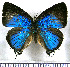  ( - JFDA5464)  @11 [ ] copyright (2025) Center For Collection-Based Research Center For Collection-Based Research