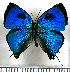  ( - JFDA5467)  @11 [ ] copyright (2025) Center For Collection-Based Research Center For Collection-Based Research