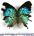  ( - JFDA5468)  @11 [ ] copyright (2025) Center For Collection-Based Research Center For Collection-Based Research