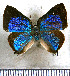  ( - JFDA5480)  @11 [ ] copyright (2025) Center For Collection-Based Research Center For Collection-Based Research