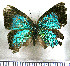  ( - JFDA5483)  @11 [ ] copyright (2025) Center For Collection-Based Research Center For Collection-Based Research
