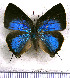  ( - JFDA5498)  @11 [ ] copyright (2025) Center For Collection-Based Research Center For Collection-Based Research
