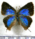  ( - JFDA5500)  @11 [ ] copyright (2025) Center For Collection-Based Research Center For Collection-Based Research