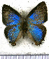  ( - JFDA5502)  @11 [ ] copyright (2025) Center For Collection-Based Research Center For Collection-Based Research
