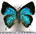 ( - JFDA5505)  @11 [ ] copyright (2025) Center For Collection-Based Research Center For Collection-Based Research