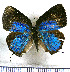  ( - JFDA5519)  @11 [ ] copyright (2025) Center For Collection-Based Research Center For Collection-Based Research