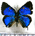  ( - JFDA5525)  @11 [ ] copyright (2025) Center For Collection-Based Research Center For Collection-Based Research