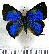  ( - JFDA5529)  @11 [ ] copyright (2025) Center For Collection-Based Research Center For Collection-Based Research