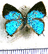  ( - JFDA5539)  @11 [ ] copyright (2025) Center For Collection-Based Research Center For Collection-Based Research
