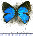  ( - JFDA5540)  @11 [ ] copyright (2025) Center For Collection-Based Research Center For Collection-Based Research