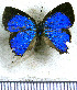  ( - JFDA5541)  @11 [ ] copyright (2025) Center For Collection-Based Research Center For Collection-Based Research