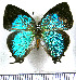  ( - JFDA5546)  @11 [ ] copyright (2025) Center For Collection-Based Research Center For Collection-Based Research
