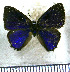  ( - JFDA5557)  @11 [ ] copyright (2025) Center For Collection-Based Research Center For Collection-Based Research