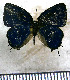  ( - JFDA5567)  @11 [ ] copyright (2025) Center For Collection-Based Research Center For Collection-Based Research