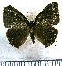  ( - JFDA5568)  @11 [ ] copyright (2025) Center For Collection-Based Research Center For Collection-Based Research
