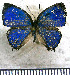  ( - JFDA5572)  @11 [ ] copyright (2025) Center For Collection-Based Research Center For Collection-Based Research