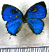  ( - JFDA5582)  @11 [ ] copyright (2025) Center For Collection-Based Research Center For Collection-Based Research