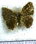  ( - JFDA5583)  @11 [ ] copyright (2025) Center For Collection-Based Research Center For Collection-Based Research