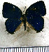  ( - JFDA5587)  @11 [ ] copyright (2025) Center For Collection-Based Research Center For Collection-Based Research