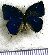  ( - JFDA5588)  @11 [ ] copyright (2025) Center For Collection-Based Research Center For Collection-Based Research