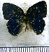  ( - JFDA5589)  @11 [ ] copyright (2025) Center For Collection-Based Research Center For Collection-Based Research
