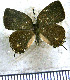  ( - JFDA5590)  @11 [ ] copyright (2025) Center For Collection-Based Research Center For Collection-Based Research