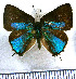  ( - JFDA5594)  @11 [ ] copyright (2025) Center For Collection-Based Research Center For Collection-Based Research