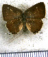  ( - JFDA5595)  @11 [ ] copyright (2025) Center For Collection-Based Research Center For Collection-Based Research