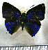  ( - JFDA5609)  @11 [ ] copyright (2025) Center For Collection-Based Research Center For Collection-Based Research