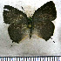  ( - JFDA5610)  @11 [ ] copyright (2025) Center For Collection-Based Research Center For Collection-Based Research