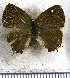  ( - JFDA5619)  @11 [ ] copyright (2025) Center For Collection-Based Research Center For Collection-Based Research