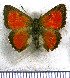  ( - JFDA5680)  @11 [ ] copyright (2025) Center For Collection-Based Research Center For Collection-Based Research