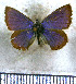  ( - JFDA5684)  @11 [ ] copyright (2025) Center For Collection-Based Research Center For Collection-Based Research