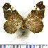  ( - JFDA5699)  @11 [ ] copyright (2025) Center For Collection-Based Research Center For Collection-Based Research