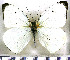  ( - JFDA5724)  @11 [ ] copyright (2025) Center For Collection-Based Research Center For Collection-Based Research